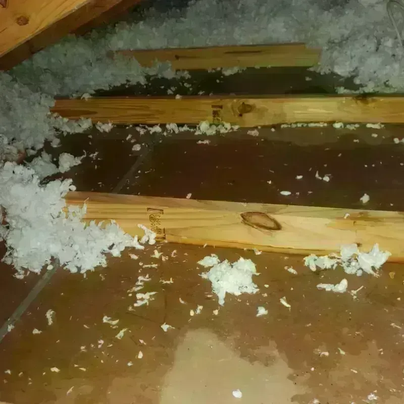 Attic Water Damage in Harlem, GA