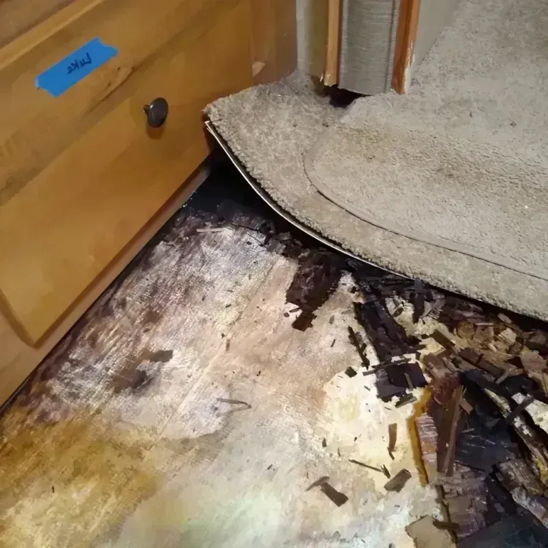 Wood Floor Water Damage in Harlem, GA